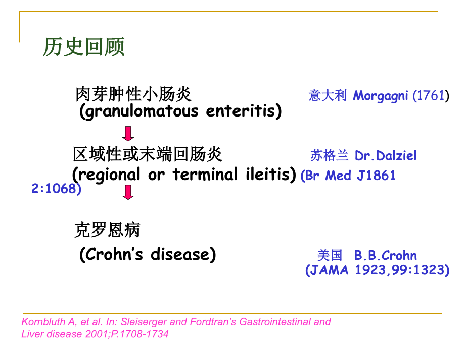 小肠克罗恩病诊疗和治疗.ppt_第2页