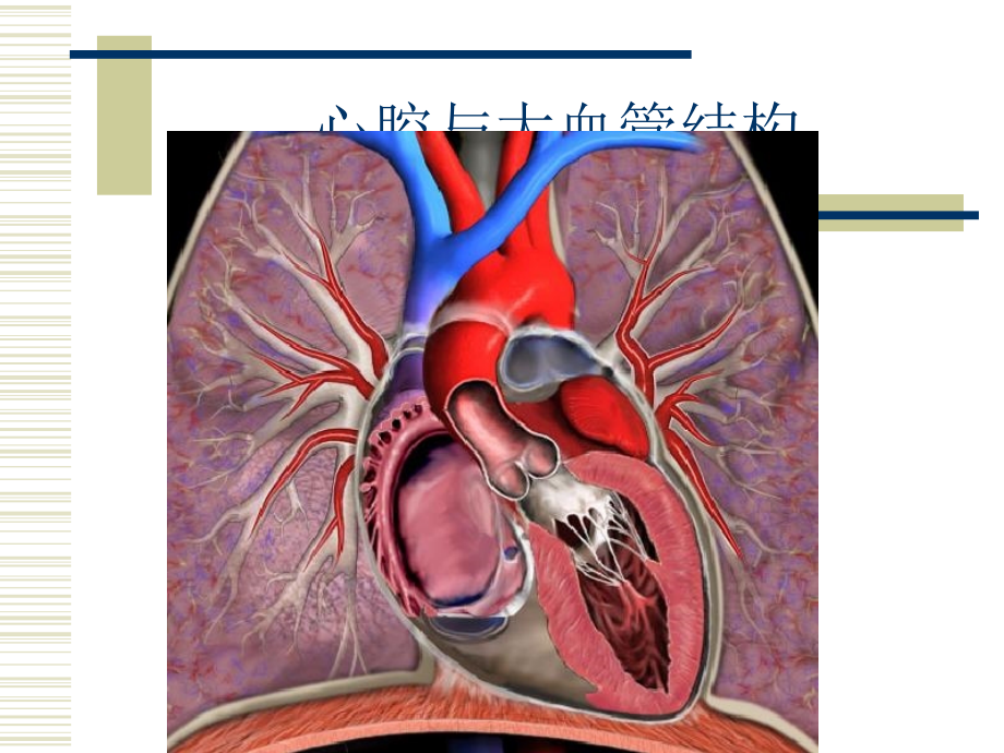 冠状动脉介入基础主题讲座课件.ppt_第2页