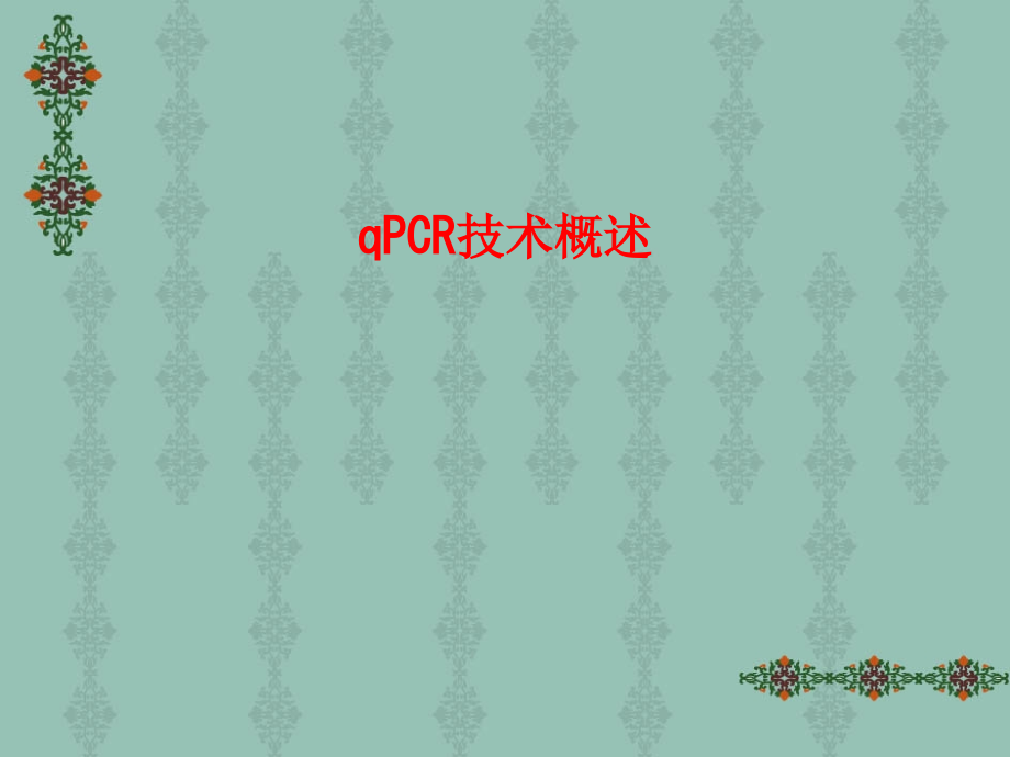qPCR技术概述PPT.ppt_第1页
