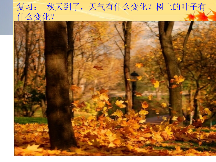 丰收的秋天.ppt_第2页