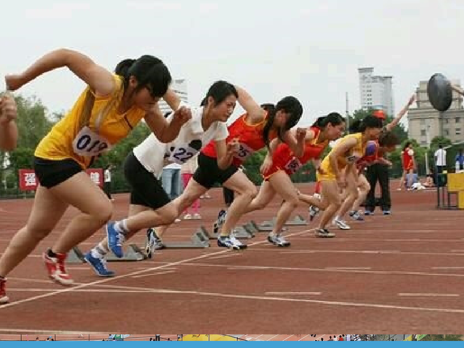 青岛版小学五年级下册信息技术《数据的简单处理》课件.ppt_第2页