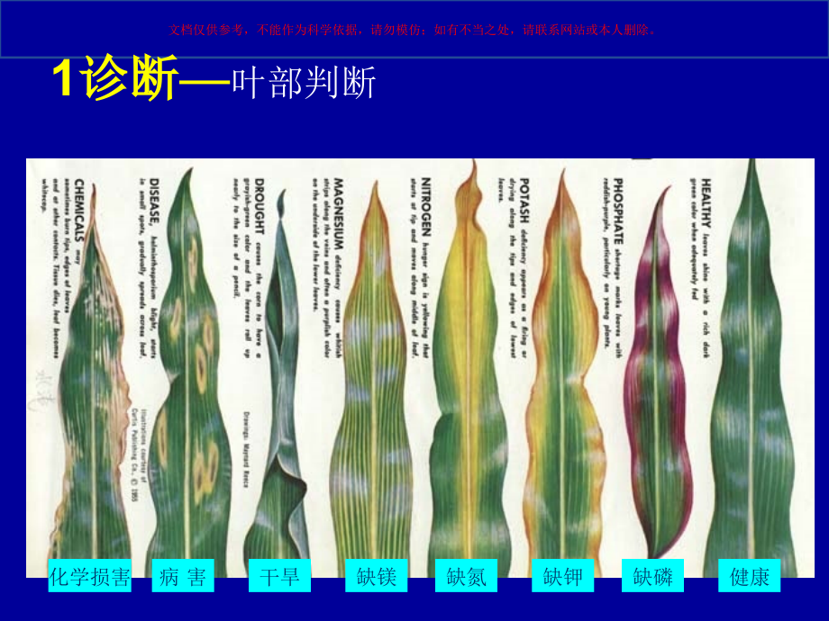 玉米主要病虫害识别课件.ppt_第2页