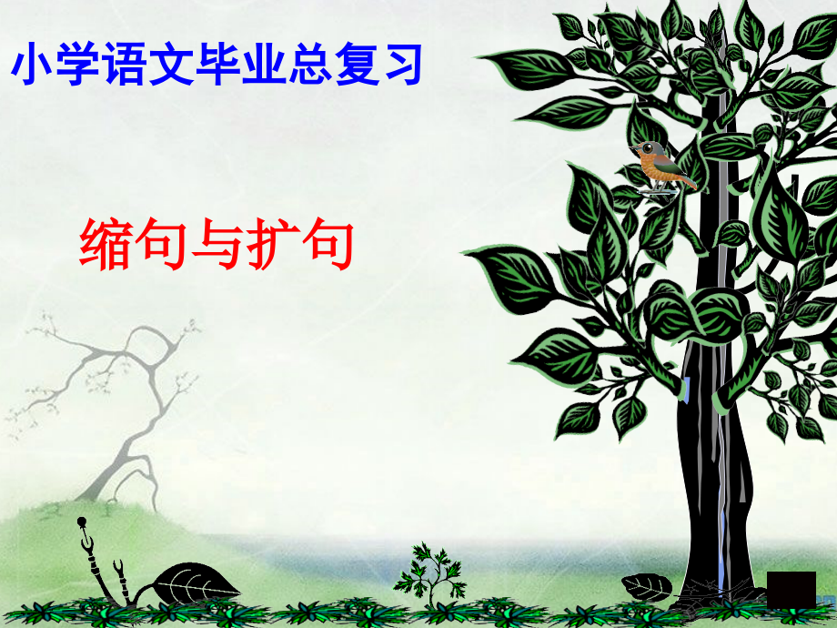 小学语文总复习缩句、扩句公开课.ppt_第1页