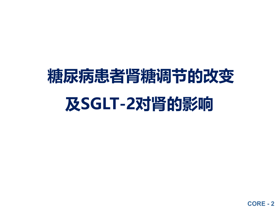 达格列净的疗效和安全讲义.ppt_第2页