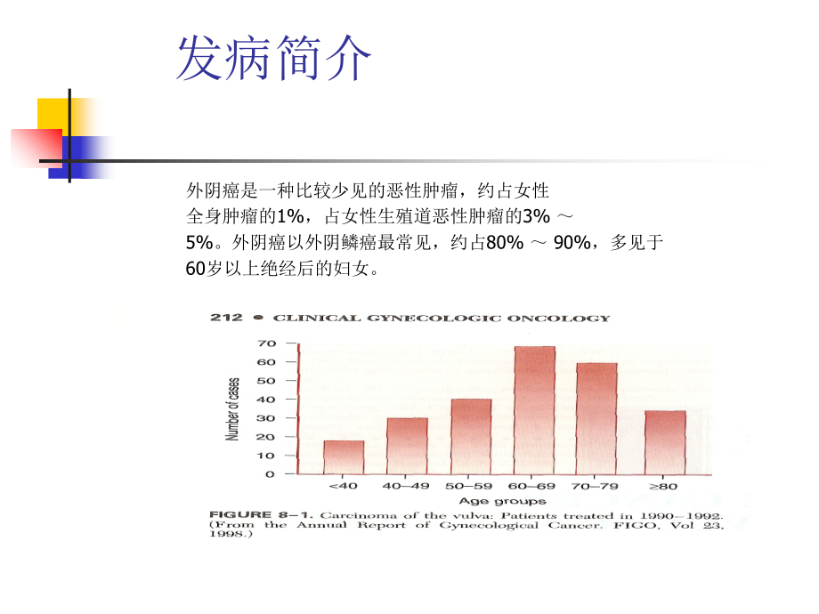 外阴癌的诊断和治疗专题PPT培训课件.ppt_第2页