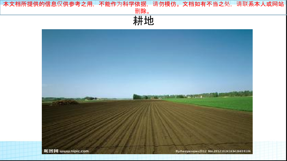 大米是怎么来的专业知识讲座.ppt_第1页