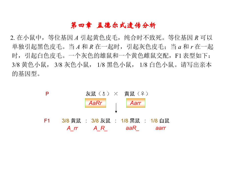 遗传学考点习题及答案.pptx_第2页