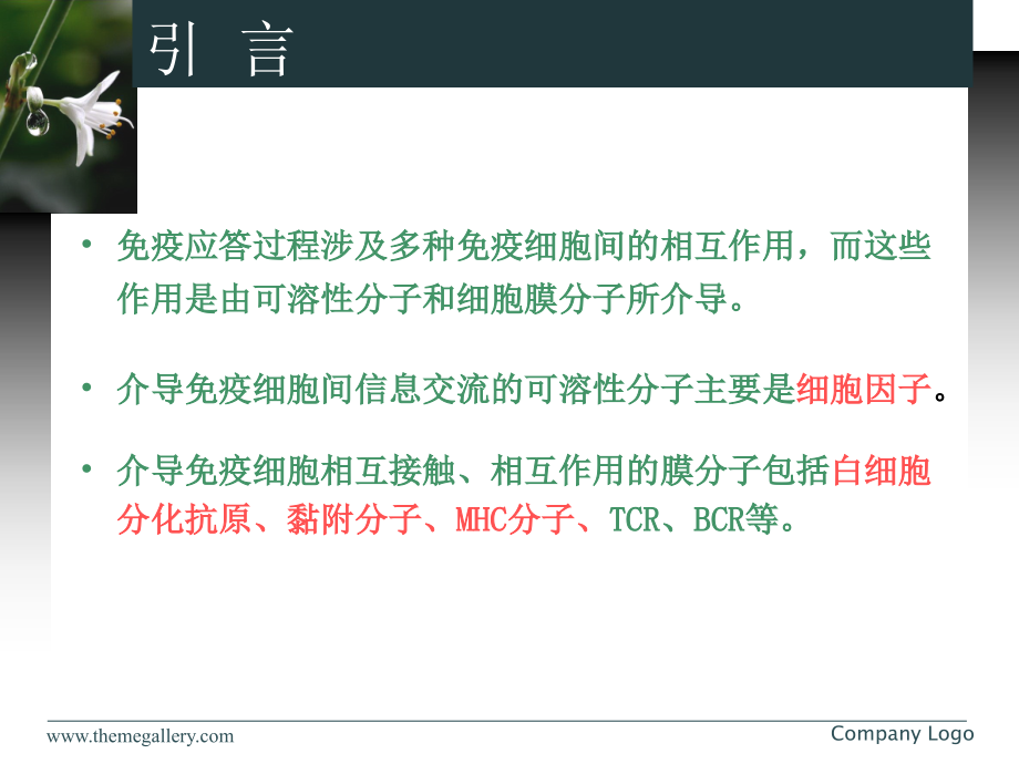 医学免疫学白细胞分化抗原和黏附分子主题讲座课件.ppt_第2页