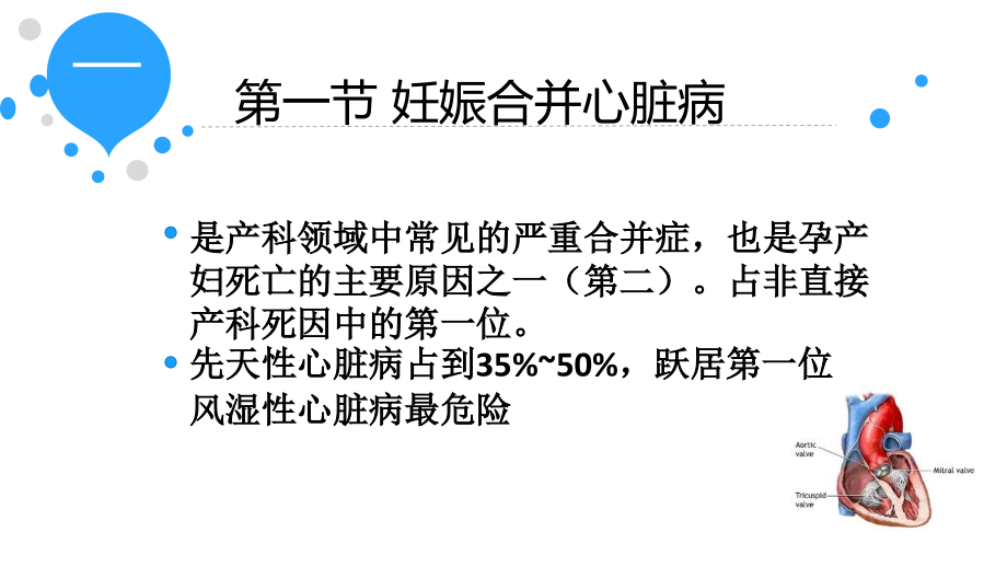 医学课件妊娠合并症妇女的医疗护理.ppt_第2页