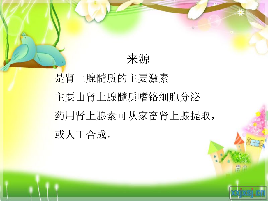 肾上腺素和去甲肾上腺素PPT.ppt_第2页