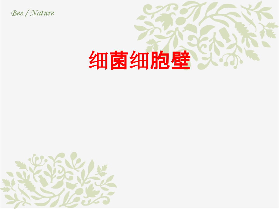 细菌细胞壁PPT.pptx_第1页