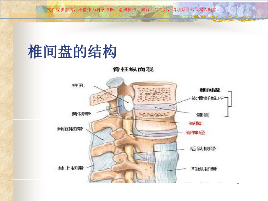 颈肩腰腿痛的康复课件.ppt_第2页