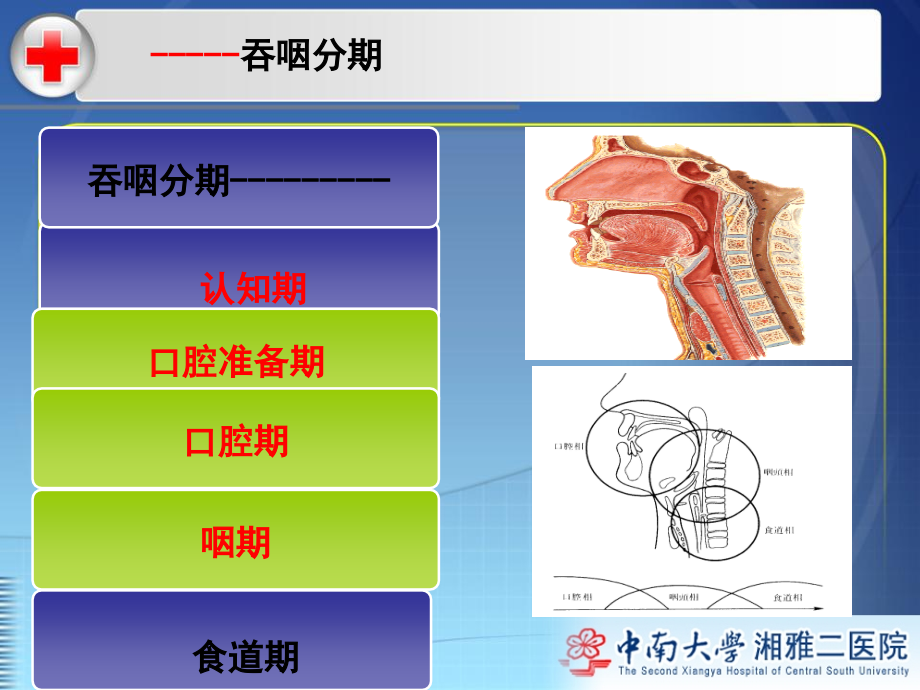 吞咽障碍治疗之深层咽肌神经刺激疗法DPNS.ppt_第1页