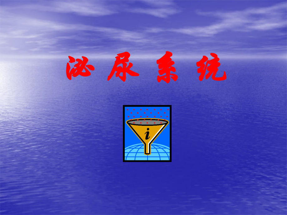解剖泌尿系统-.ppt_第1页