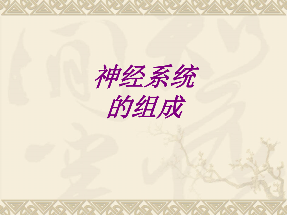 神经系统的组成ppt培训课件.ppt_第1页