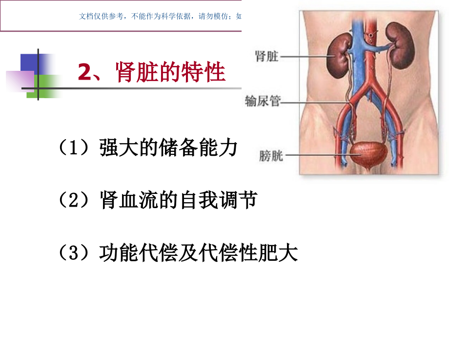 肾功能不全知识讲座课件.ppt_第2页