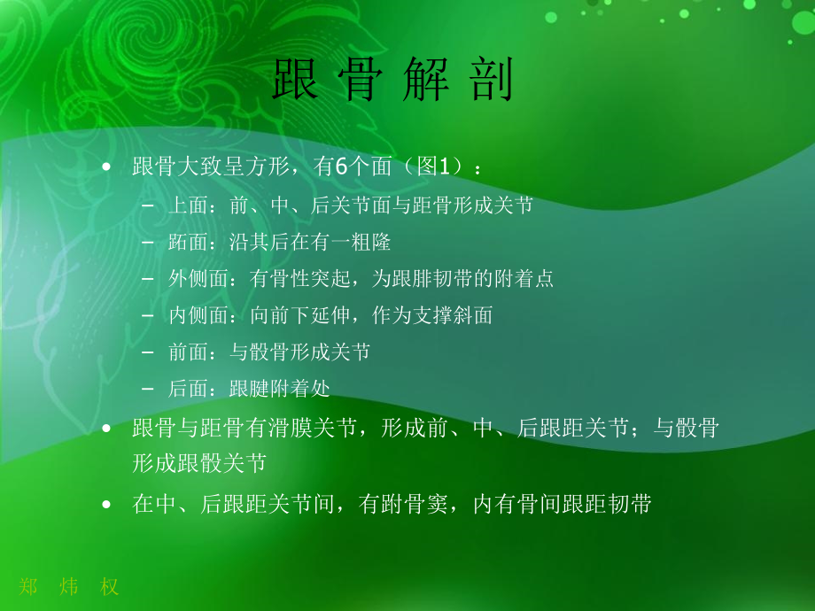 医学课件跟骨正常与变异.ppt_第2页
