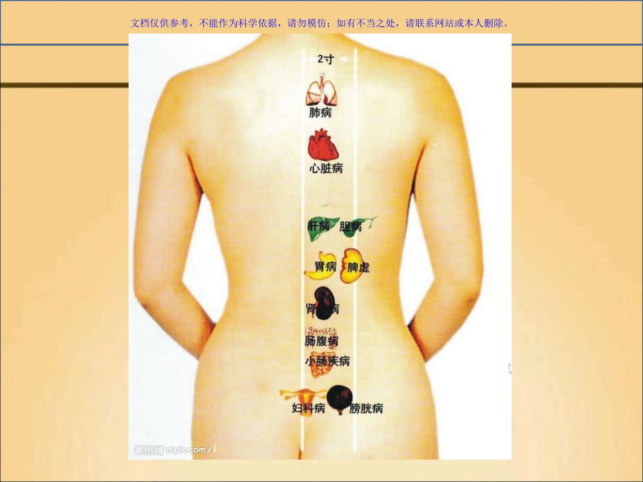 脊柱全息辩证背诊课件.ppt_第1页