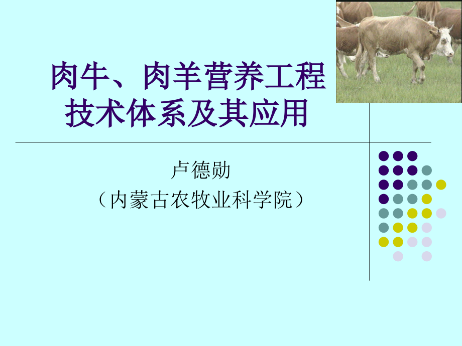 肉羊营养工程.ppt_第1页