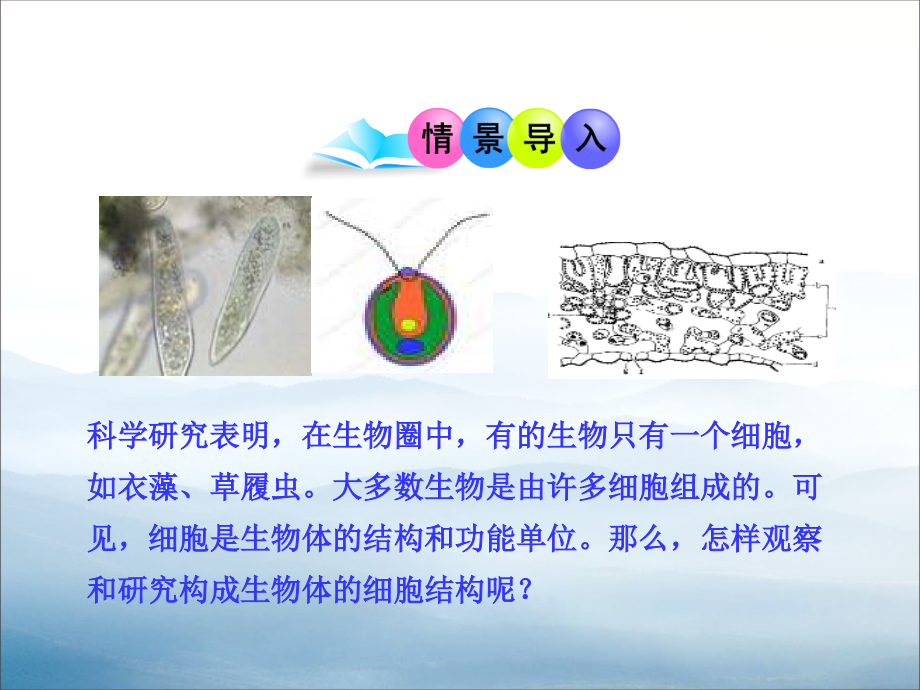 《细胞的基本结构和功能》课件.pptx_第2页