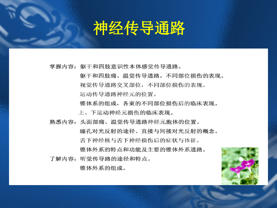 神经传导通路全ppt培训课件.ppt_第2页