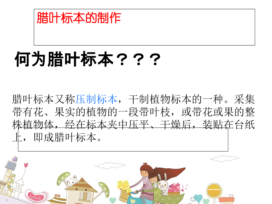 腊叶标本的制作.ppt_第2页