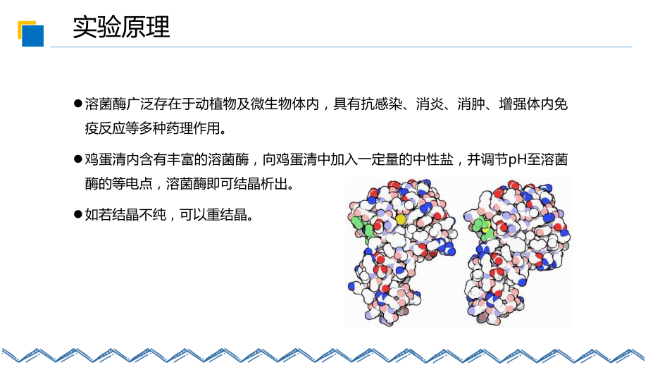 溶菌酶制备及其性质鉴定.pptx_第1页