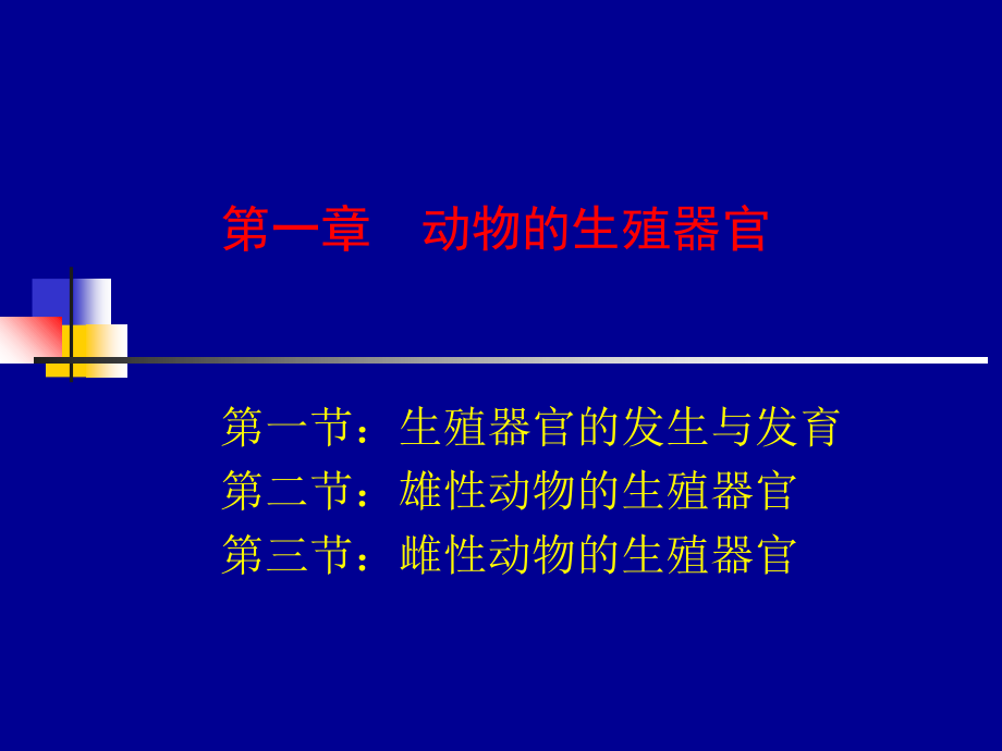 动物生殖器官主题讲座课件.ppt_第1页