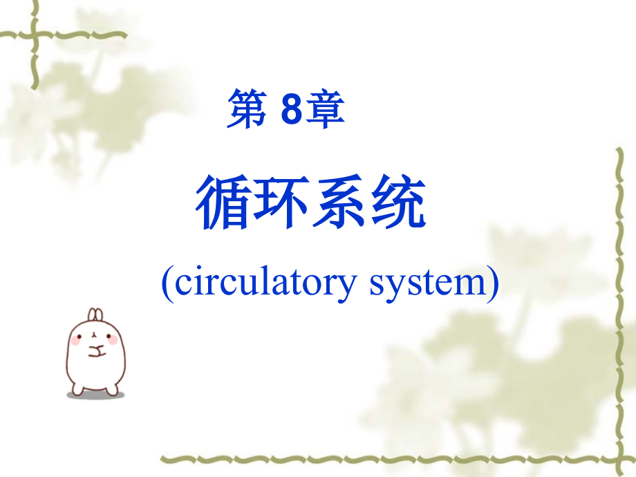组织学与胚胎学循环系统-.ppt_第1页