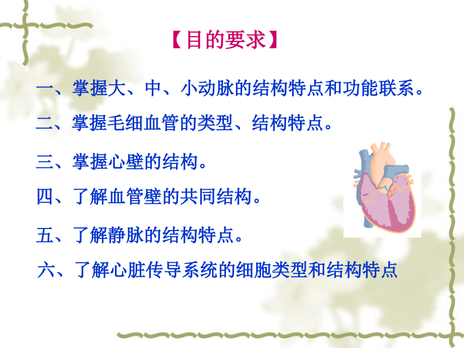 组织学与胚胎学循环系统-.ppt_第2页