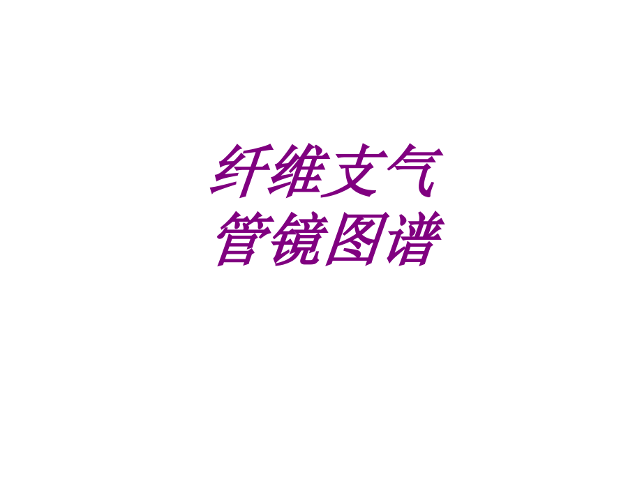 纤维支气管镜图谱ppt培训课件.ppt_第1页