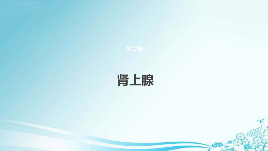 肾上腺影像学检查PPT培训课件.pptx_第2页