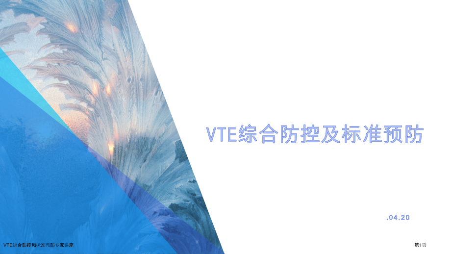 VTE综合防控和标准预防专家讲座.pptx_第1页