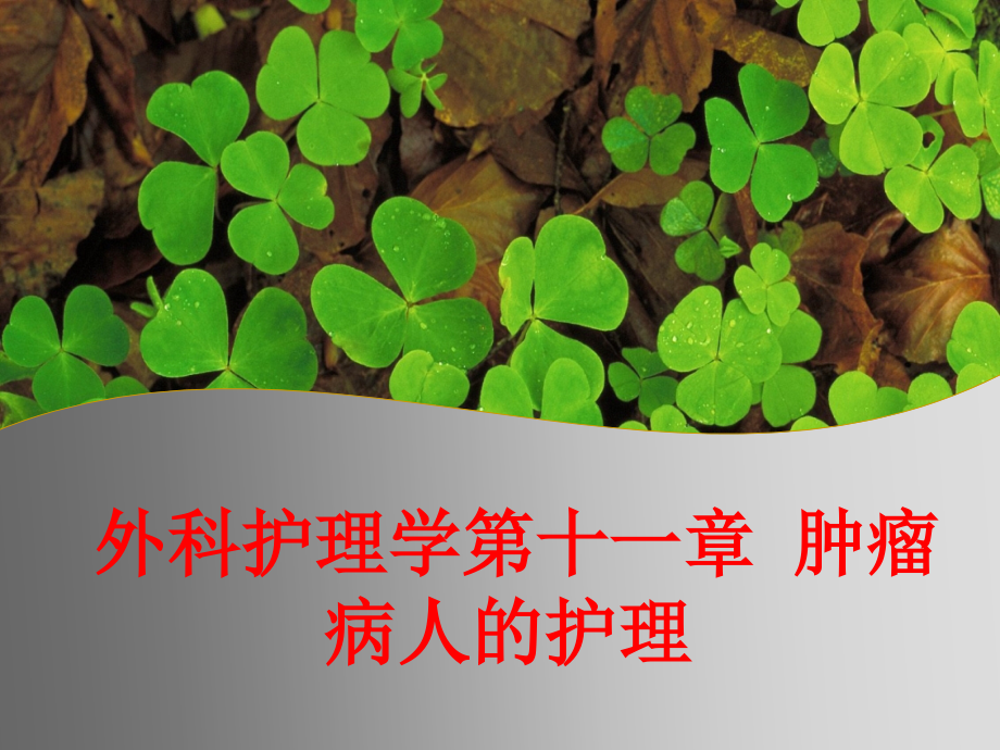 外科护理学第十一章-肿瘤病人的护理PPT.ppt_第1页