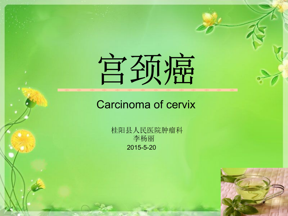 宫颈癌医学.pptx_第1页