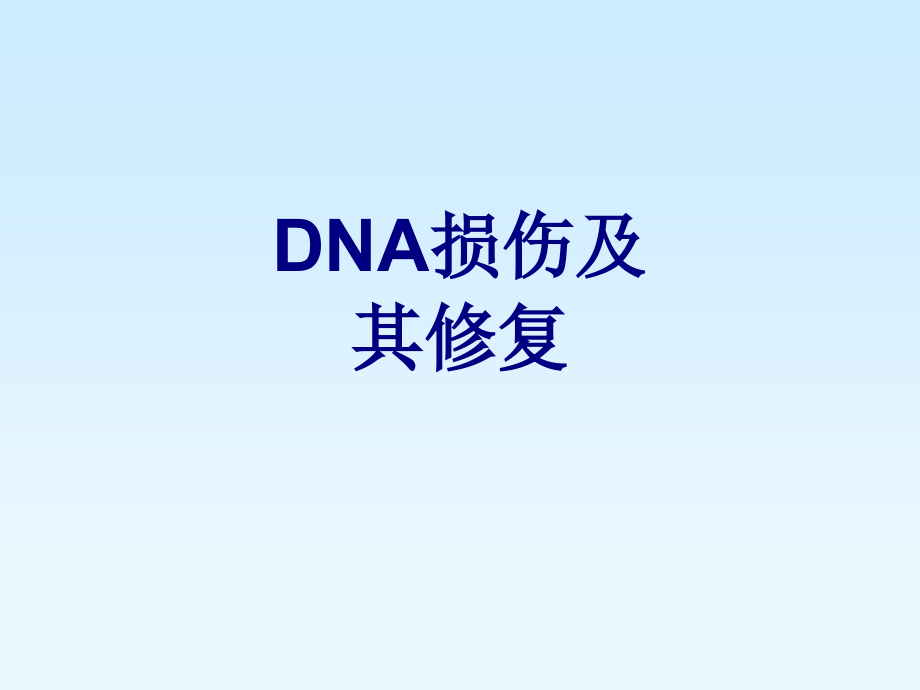DNA损伤及其修复课件.ppt_第1页