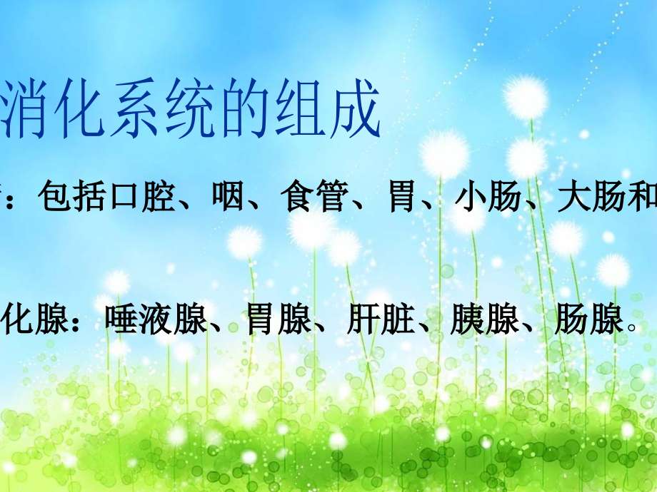 消化系统疾病的饮食指导-.ppt_第2页