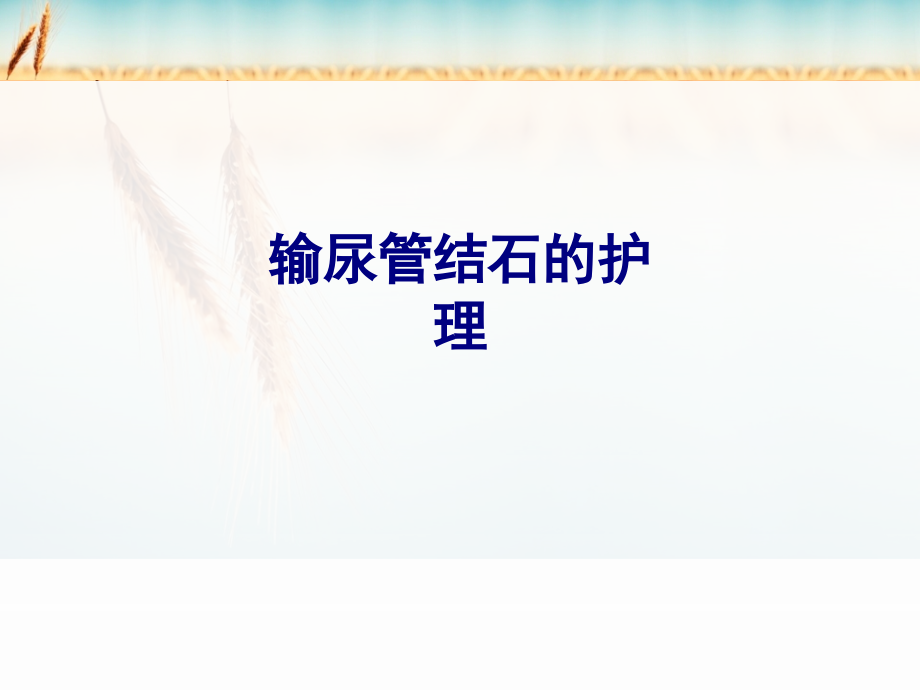 输尿管结石的护理专题PPT培训课件.ppt_第1页