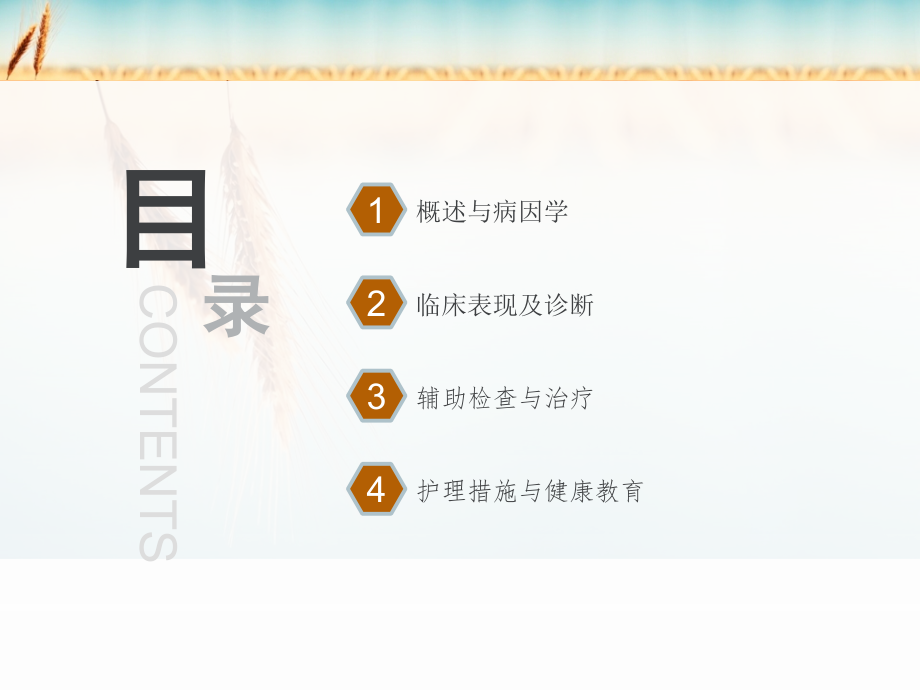 输尿管结石的护理专题PPT培训课件.ppt_第2页