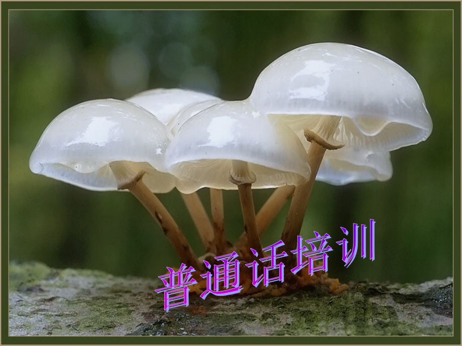 普通话测试一单音节.ppt_第1页
