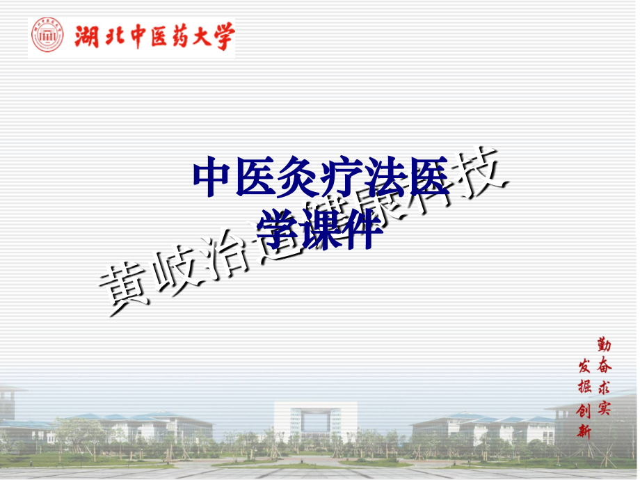 中医灸疗法PPT.ppt_第1页