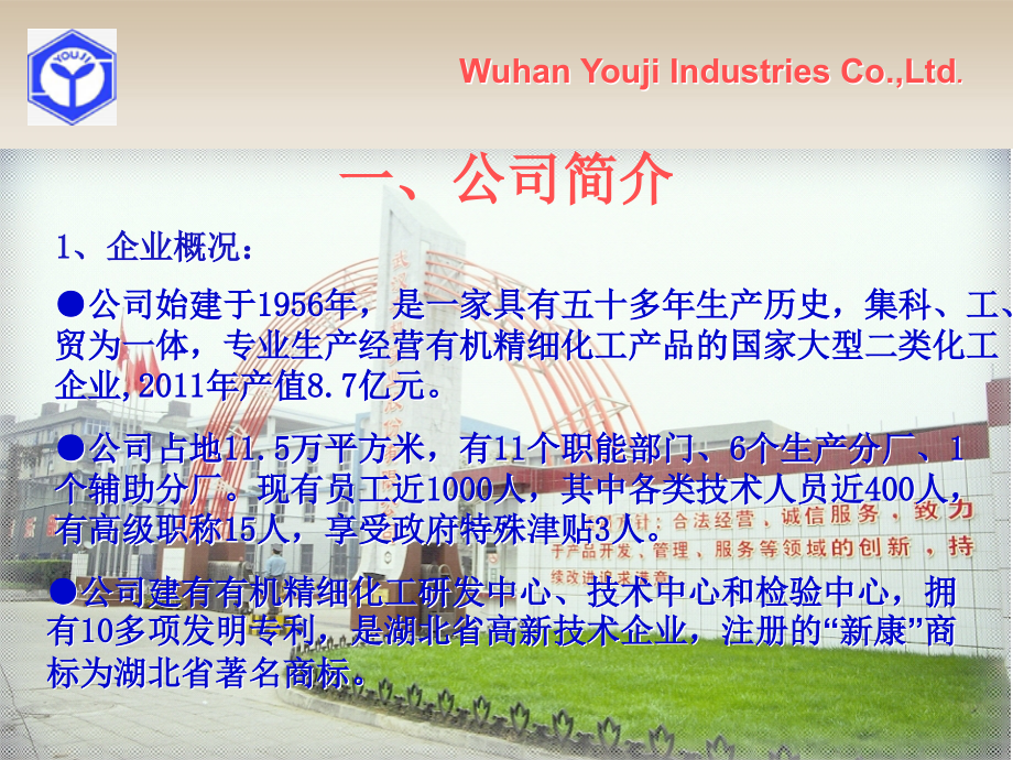 苯甲酸生产能源综合利用——武汉有机实业有限公司专题培训课件.ppt_第2页