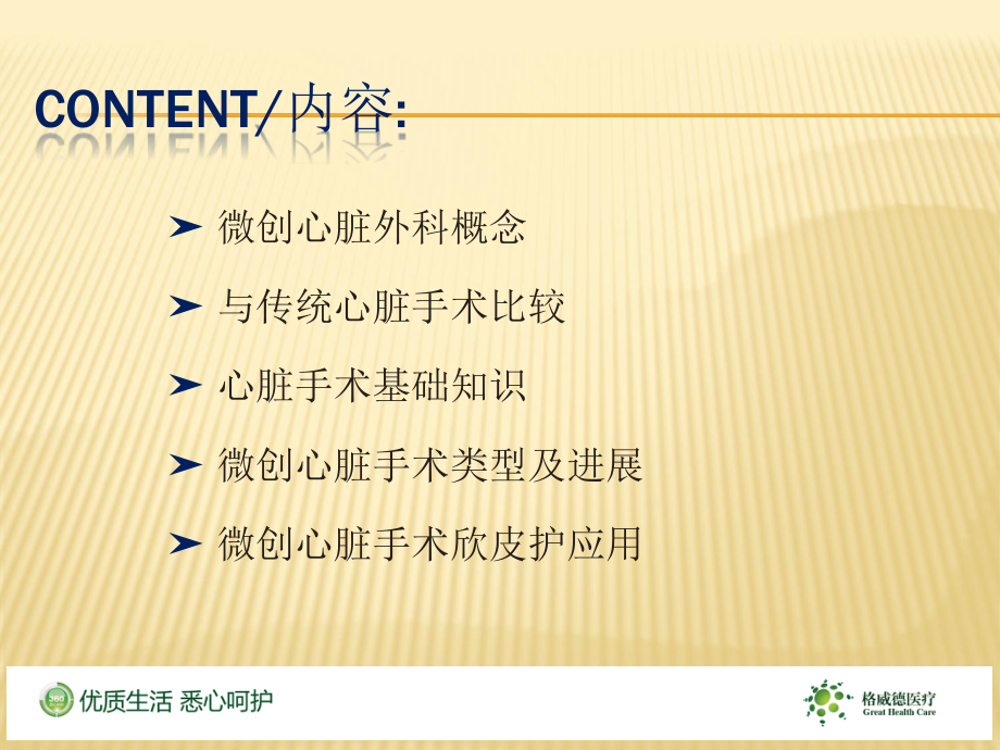 微创心脏外科手术课件.ppt_第2页