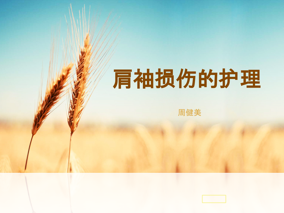 肩袖损伤的护理-.pptx_第1页