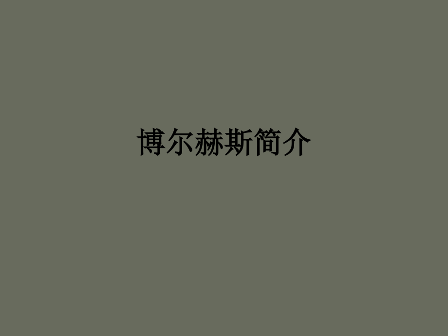 博尔赫斯简介.ppt_第1页
