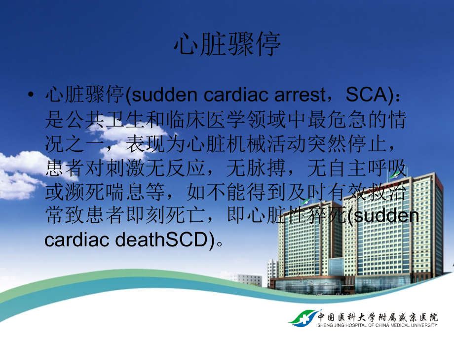 高级心肺复苏-.ppt_第2页