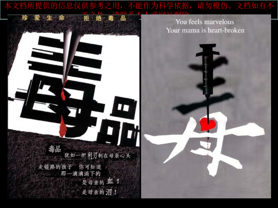 禁毒教育专题专业知识讲座.ppt_第2页