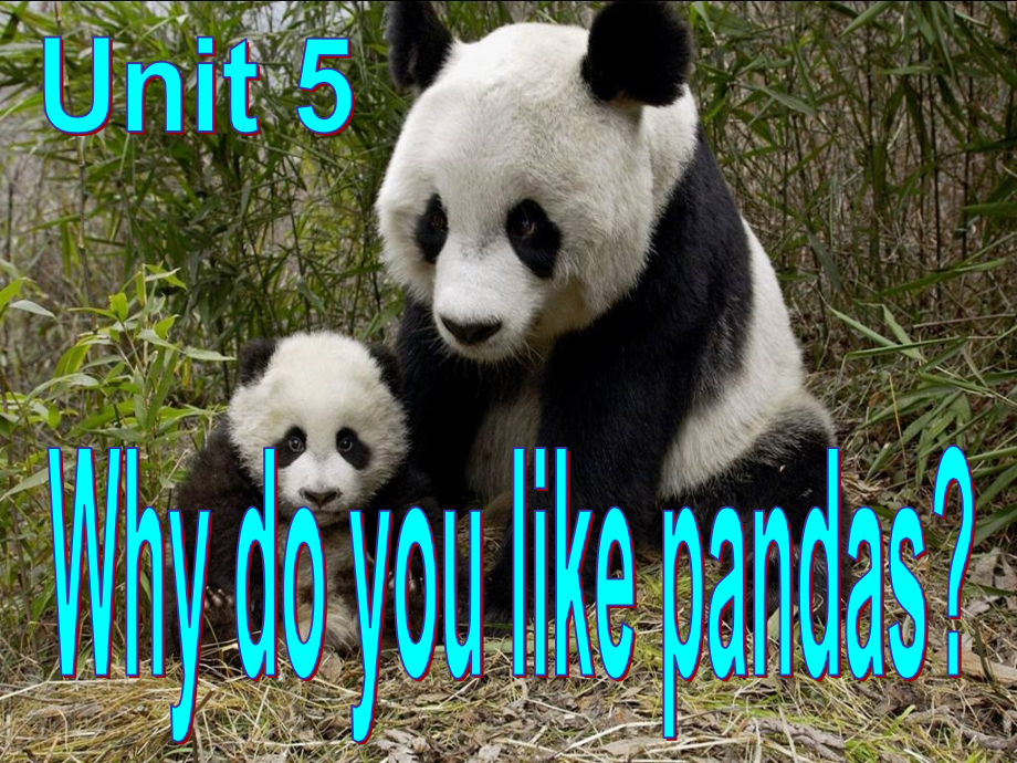 人教版七年级英语下册《Unit5-Why-do-you-like-pandas》课件.ppt_第1页