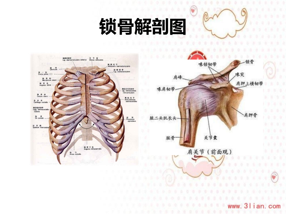 锁骨骨折医疗护理查房.ppt_第1页