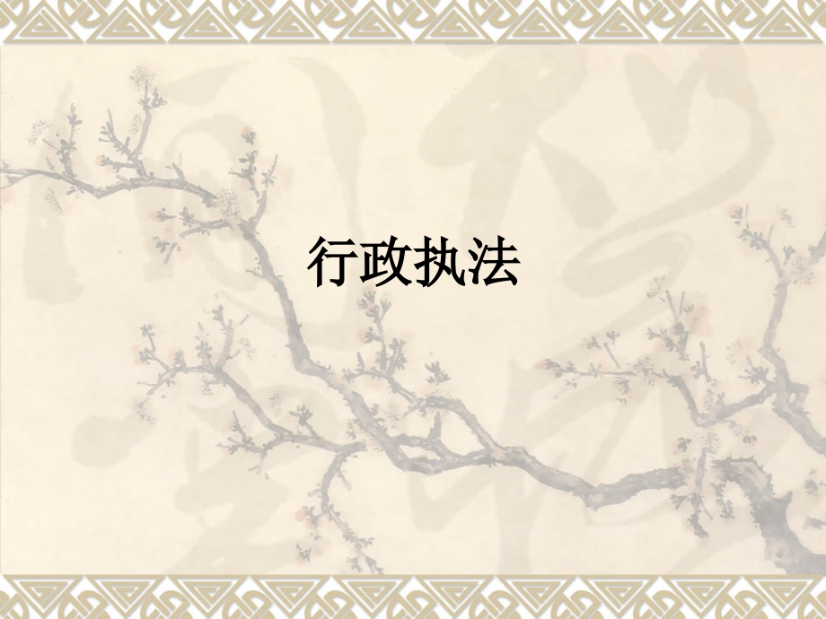 行政执法.ppt_第1页